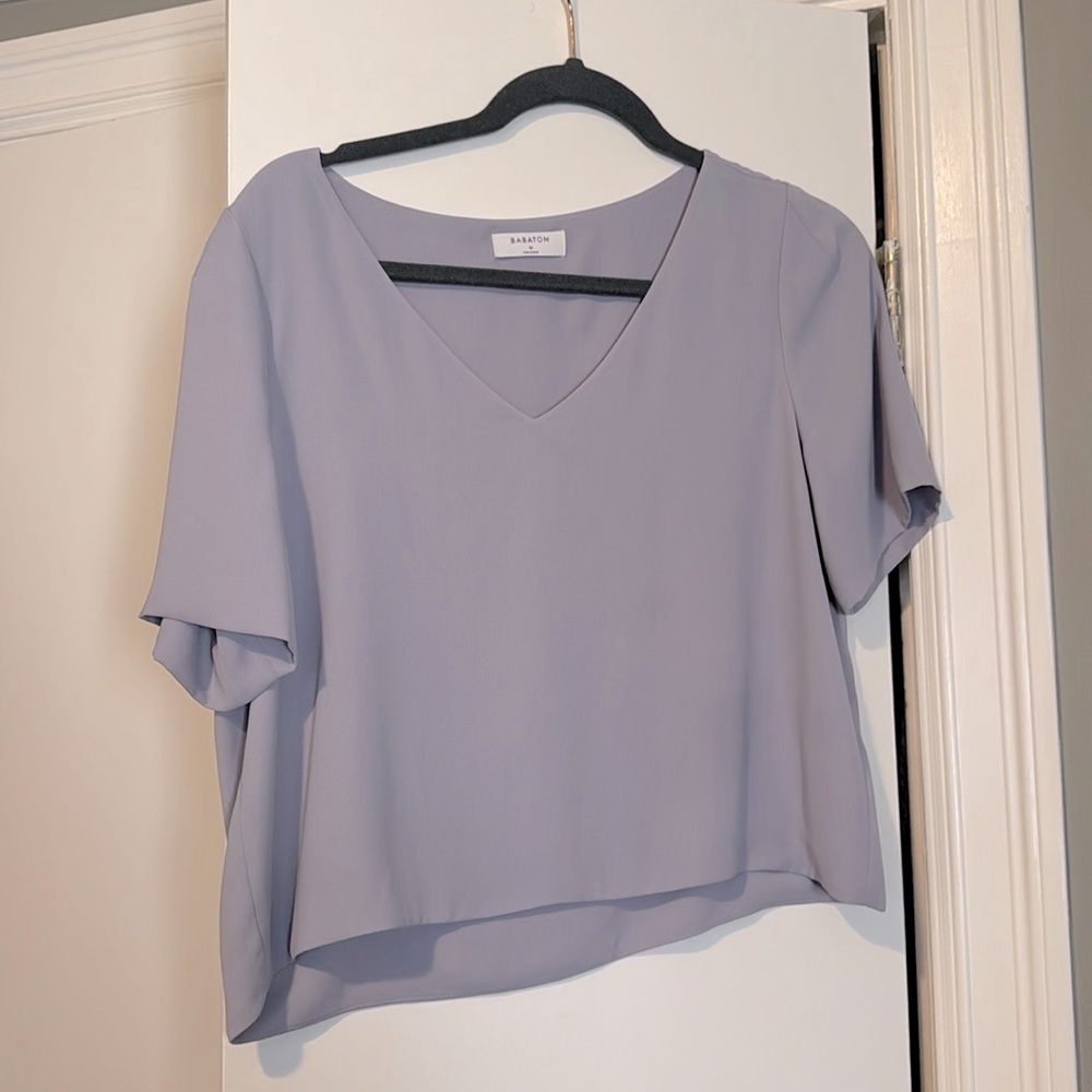 Aritzia Babaton randy pewter v neck crop blouse